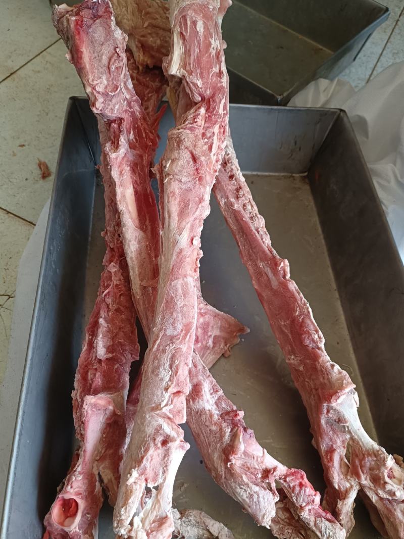 满肉羊蝎子多肉羊脊骨多肉羊脖骨可锯断一件起发