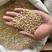大麦米熬粥食品加工大麦仁五谷粗粮袋装38斤