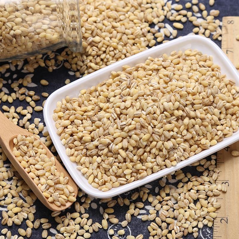 大麦米熬粥食品加工大麦仁五谷粗粮袋装38斤