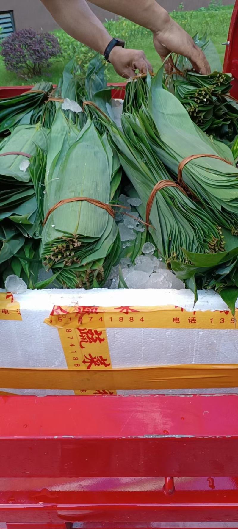 粽叶，现采现发，香气十足