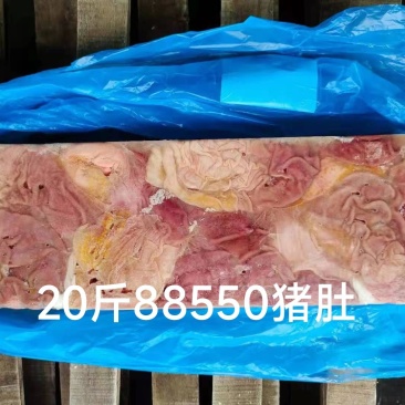 精品猪肚猪副产品品质保证货源充足欢迎进店选购