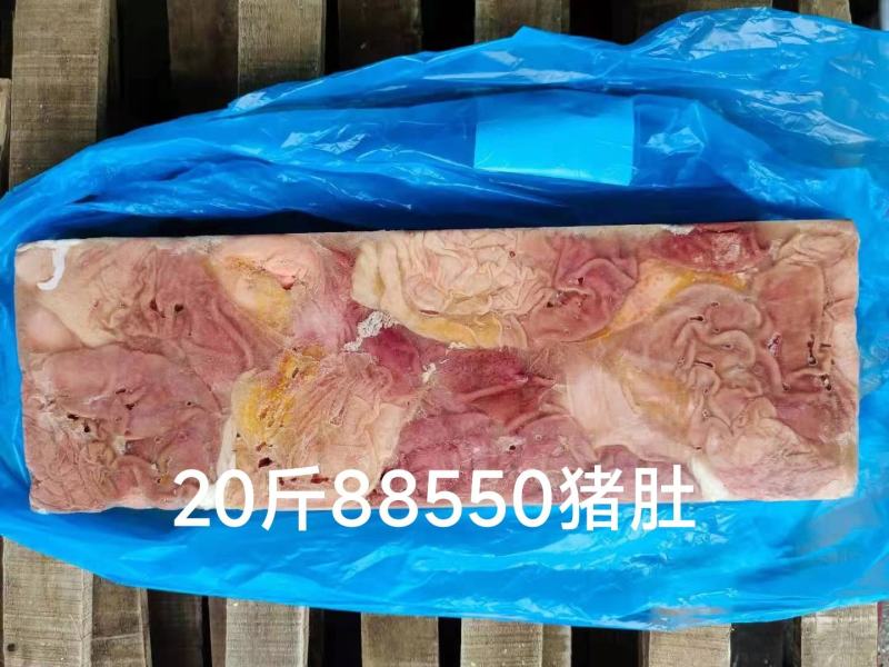 精品猪肚猪副产品品质保证货源充足欢迎进店选购