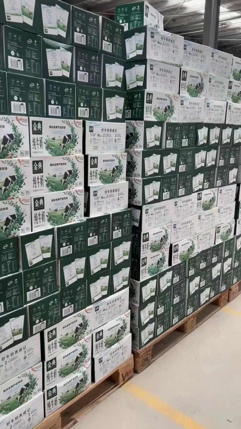 2月金典2000提