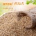 白芝麻榨油生熟脱皮无沙带皮白芝麻现货供应袋装50斤