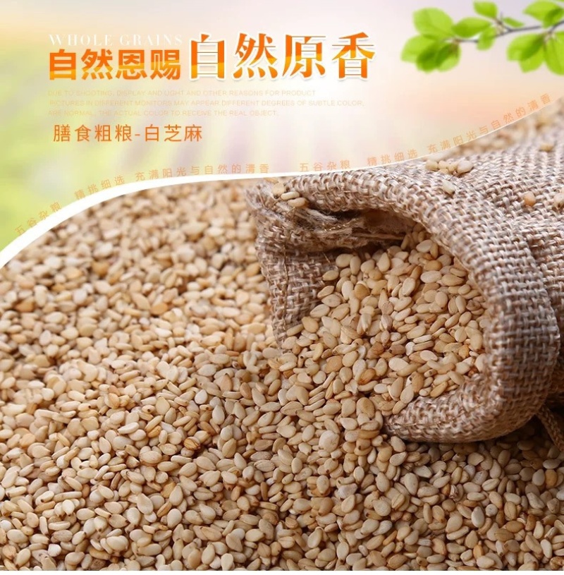 白芝麻榨油生熟脱皮无沙带皮白芝麻现货供应袋装50斤