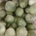 想卖绿瓜，马上，上市3
