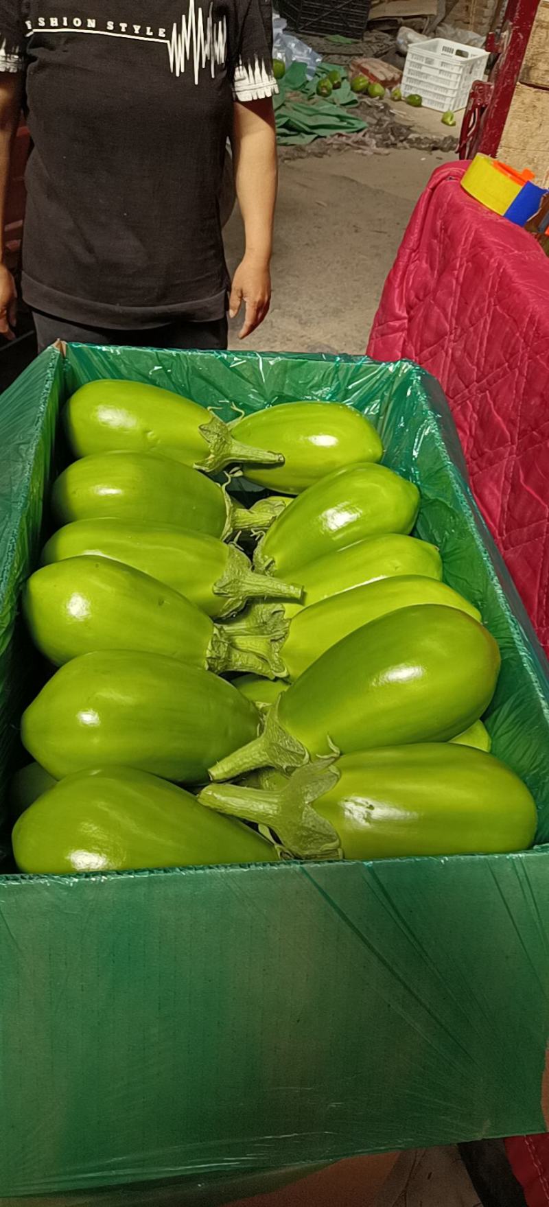冷棚无籽茄子，精品小茄子