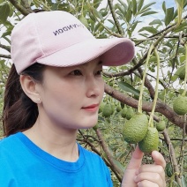 云南牛油果一手货员场地直供可以视频看货现摘现发