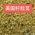 美国籽粒苋种子牧草黑千穗谷高蛋白喂鸡鸭鹅猪牛羊家禽苋菜籽