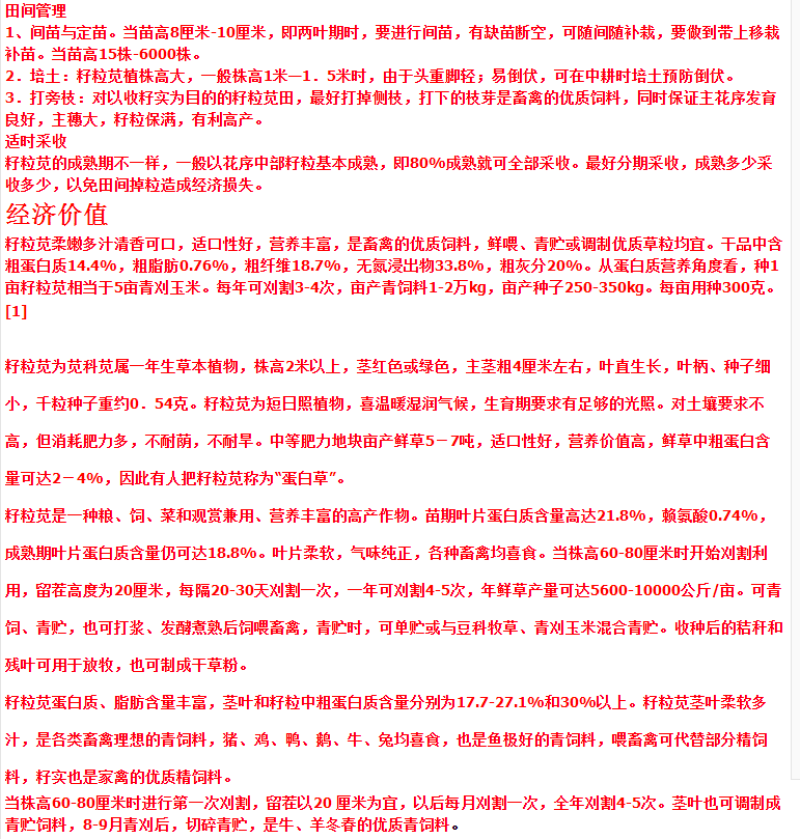 美国籽粒苋种子牧草黑千穗谷高蛋白喂鸡鸭鹅猪牛羊家禽苋菜籽
