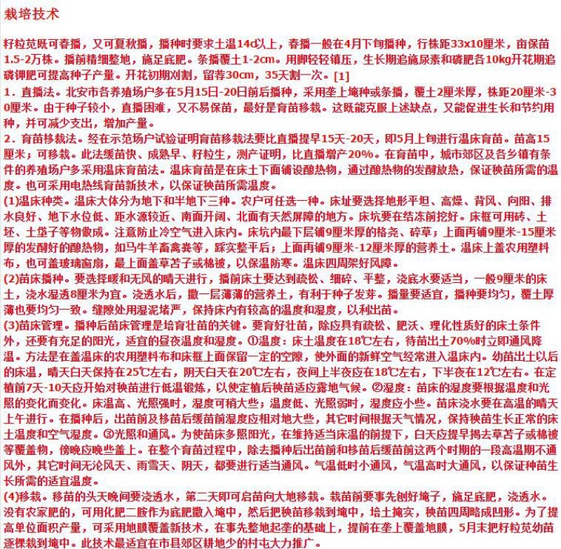 美国籽粒苋种子牧草黑千穗谷高蛋白喂鸡鸭鹅猪牛羊家禽苋菜籽
