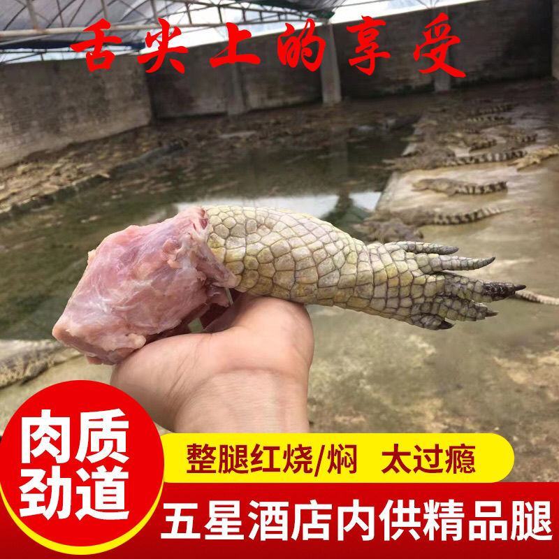 鳄鱼半皮掌，2/3斤真空包装，顺丰发货或物流发货！