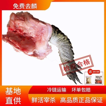 鳄鱼半皮掌，2/3斤真空包装，顺丰发货或物流发货！