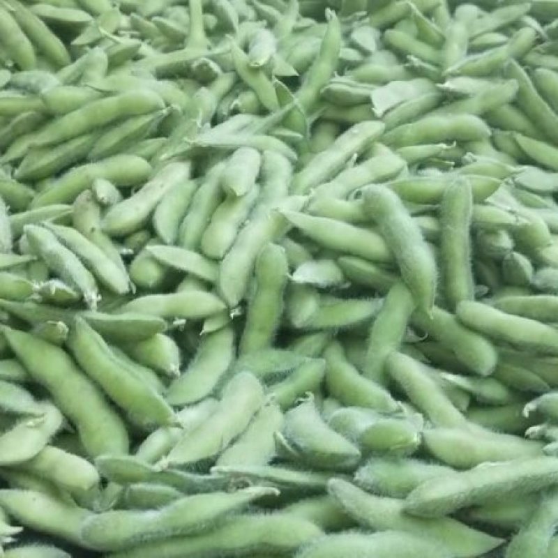 毛豆大量上市