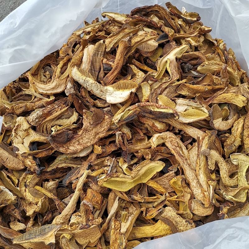 牛肝菌云南牛肝菌干净无杂餐饮直供一件代发