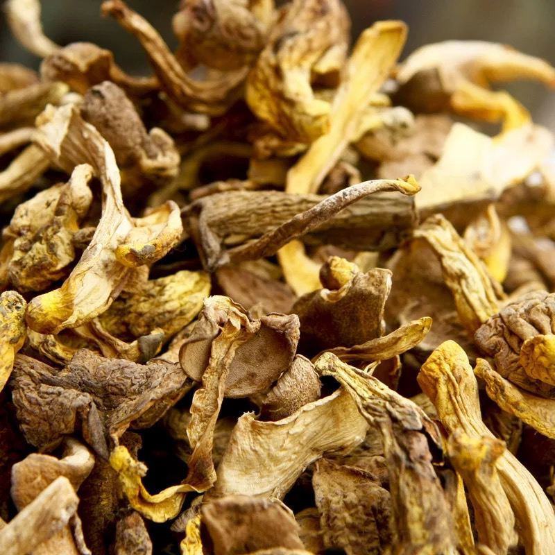 牛肝菌云南牛肝菌干净无杂餐饮直供一件代发