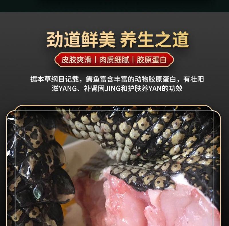 鳄鱼半皮掌，2/3斤真空包装，顺丰发货或物流发货！
