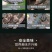 鳄鱼半皮掌，2/3斤真空包装，顺丰发货或物流发货！