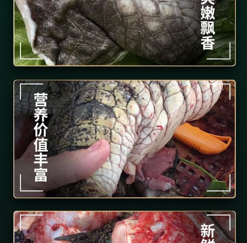 鳄鱼半皮掌，2/3斤真空包装，顺丰发货或物流发货！