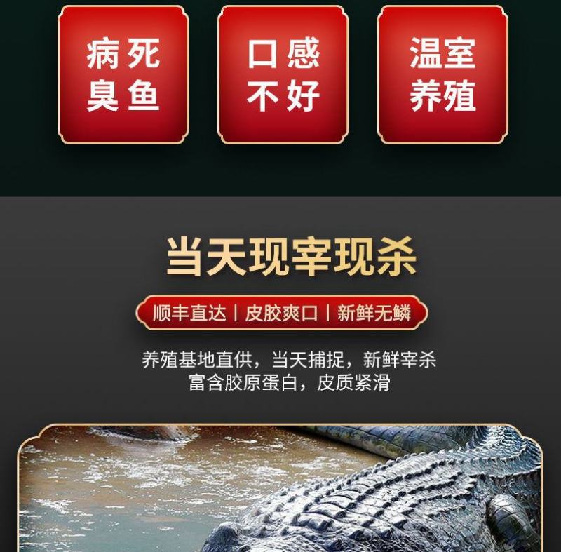 鳄鱼半皮掌，2/3斤真空包装，顺丰发货或物流发货！