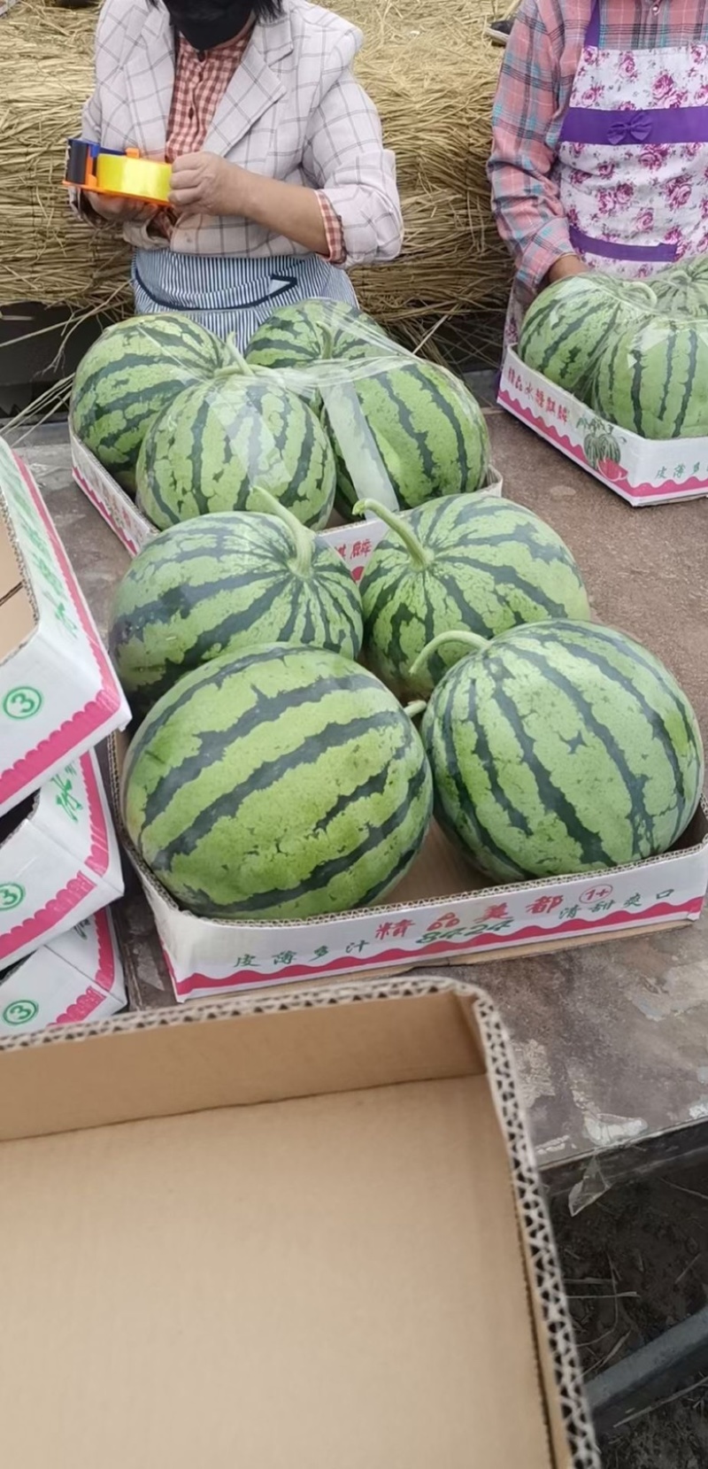 美都大降价