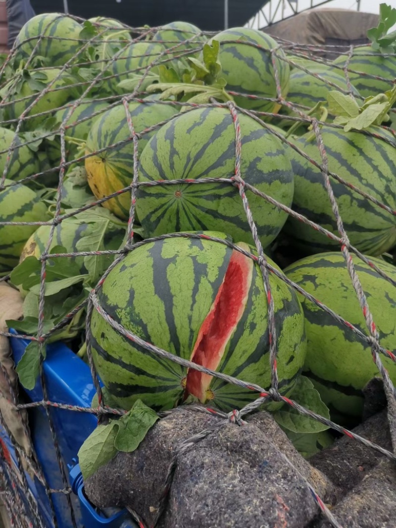 美都大降价