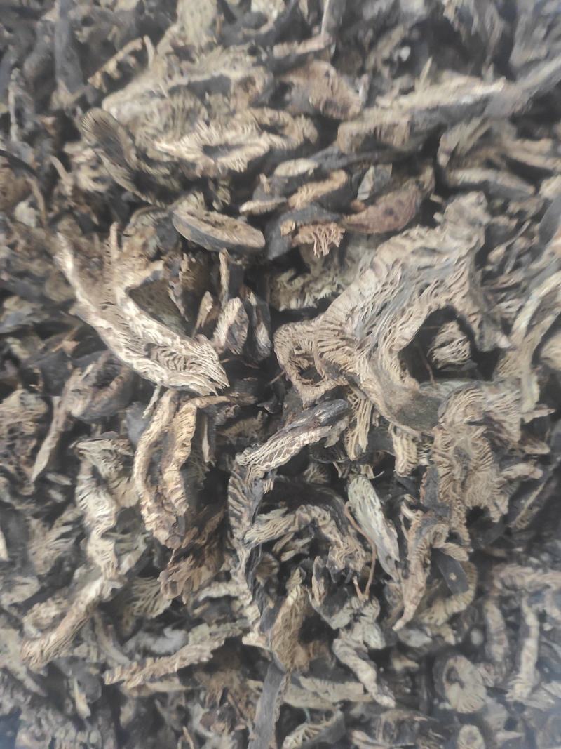 升麻干货升麻中药材量大从优欢迎选购