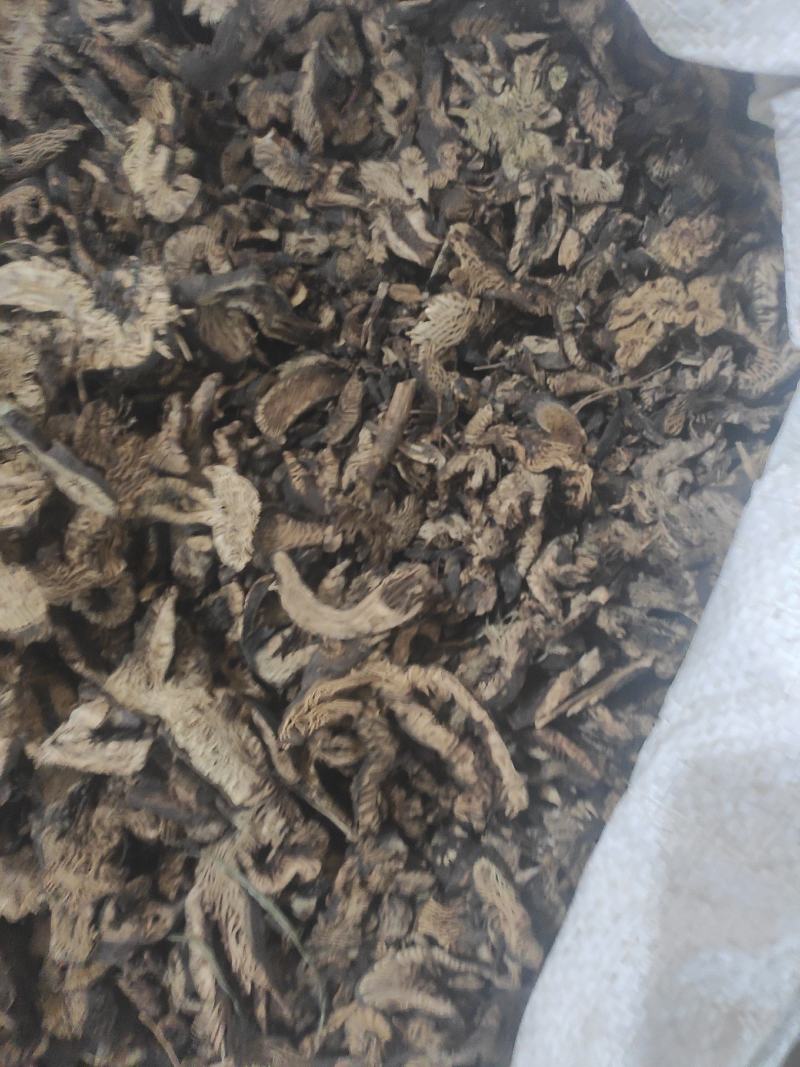 升麻干货升麻中药材量大从优欢迎选购