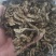 升麻干货升麻中药材量大从优欢迎选购