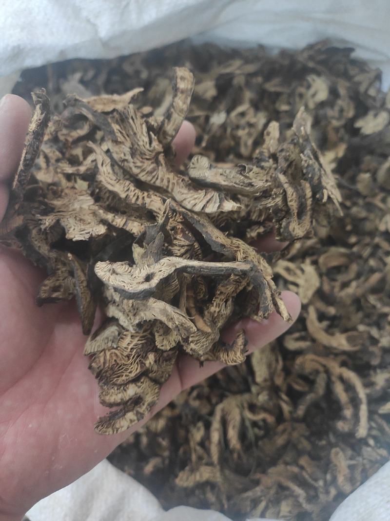 升麻干货升麻中药材量大从优欢迎选购