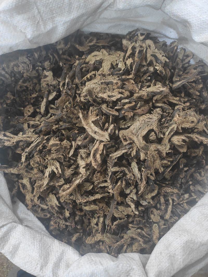 升麻干货升麻中药材量大从优欢迎选购