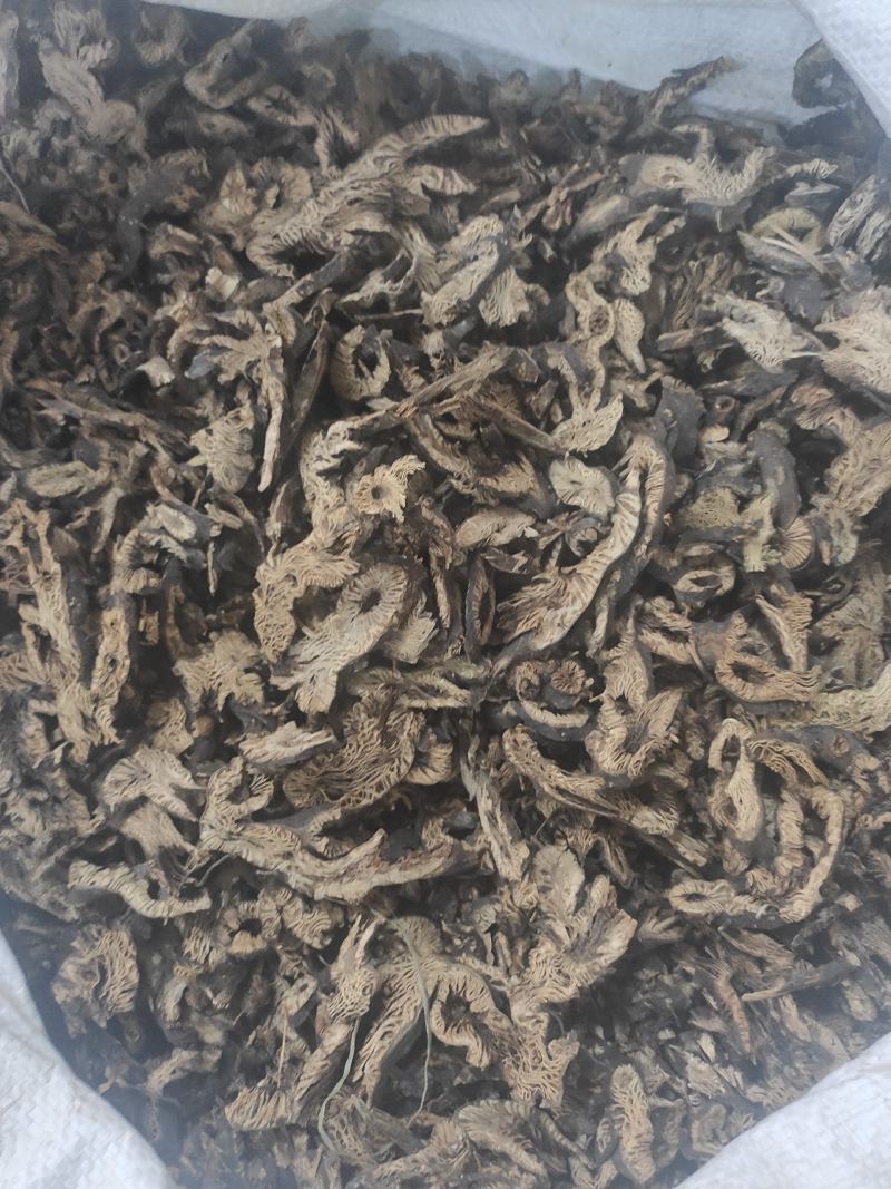 升麻干货升麻中药材量大从优欢迎选购