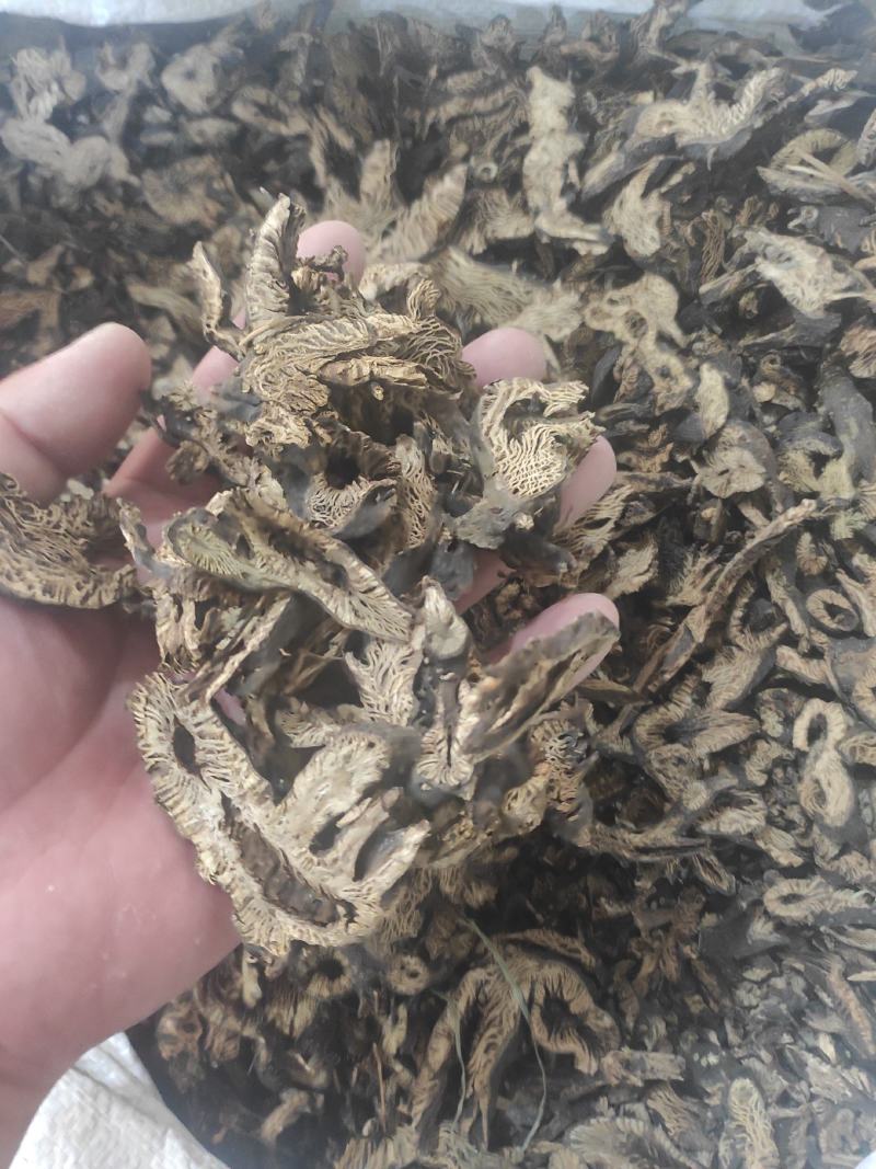 升麻干货升麻中药材量大从优欢迎选购
