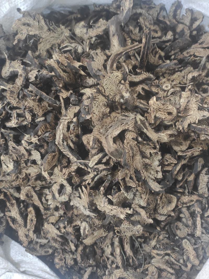 升麻干货升麻中药材量大从优欢迎选购