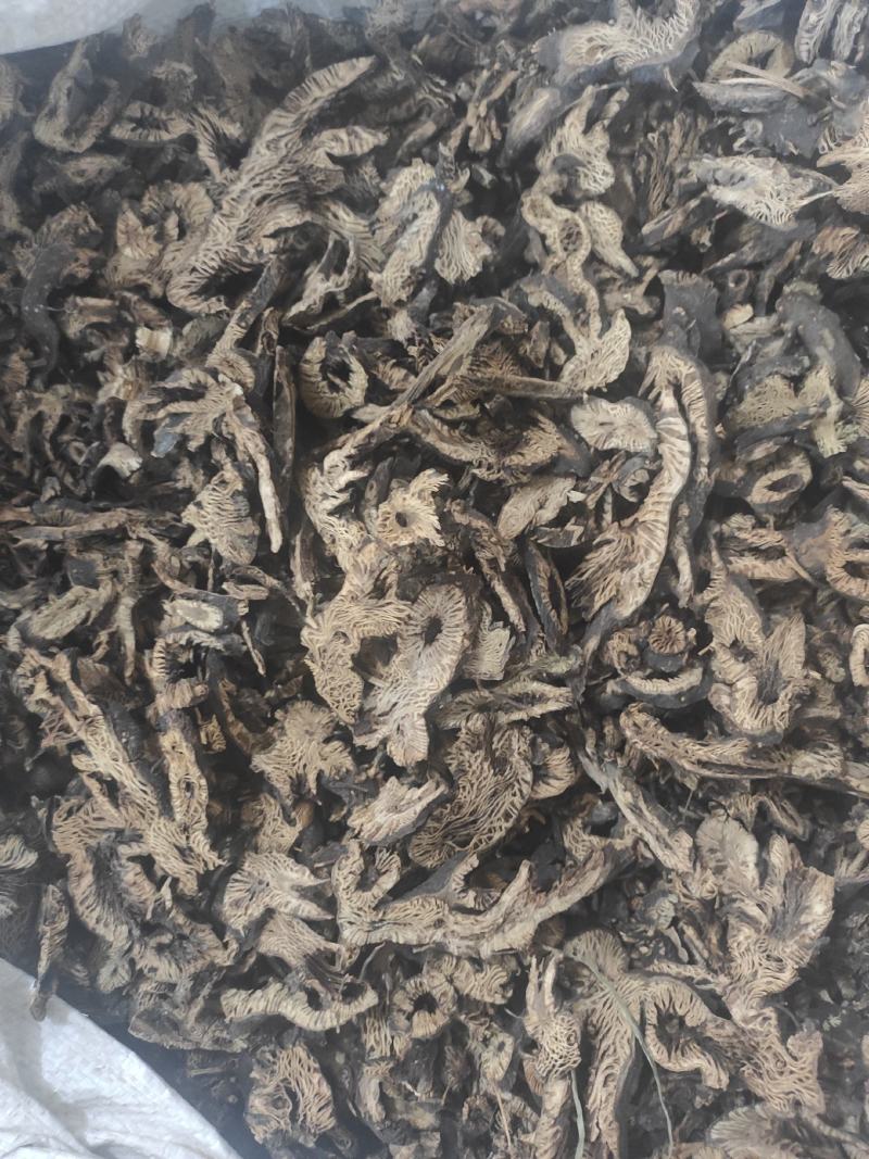 升麻干货升麻中药材量大从优欢迎选购