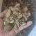 木香干货木香中药材干净无杂质欢迎选购