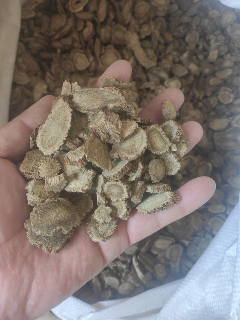 木香干货木香中药材干净无杂质欢迎选购