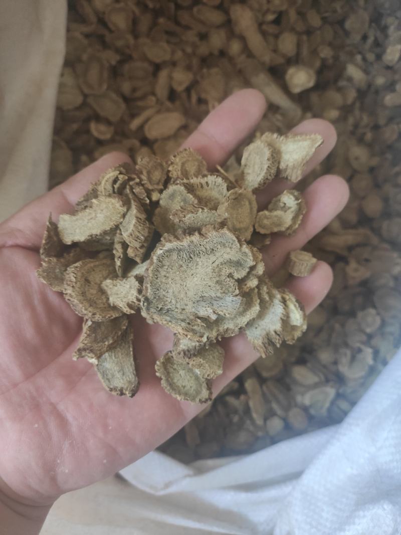 木香干货木香中药材干净无杂质欢迎选购