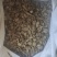 木香干货木香中药材干净无杂质欢迎选购