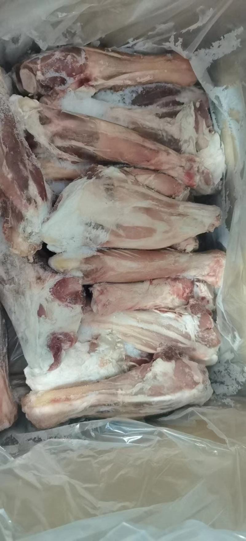 羔羊后棒，羊小腿，小前腱，小后腱，单个8两左右