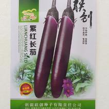 紫红长茄茄子种子商品性好，经济效益高