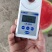 湖北公安西瓜，美都西瓜，8424西瓜！一手货源！