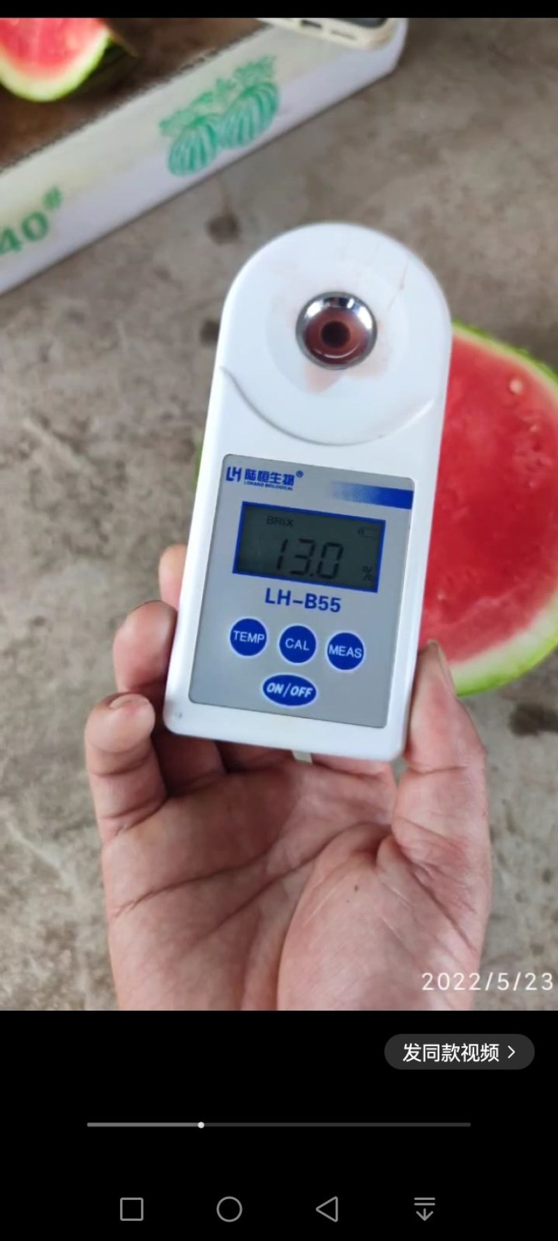 湖北公安西瓜，美都西瓜，8424西瓜！一手货源！