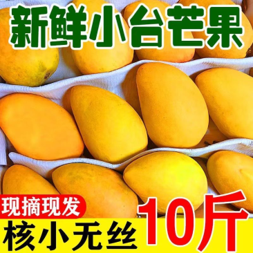 台农芒果一件代发一手货源，现货秒发，接直播社区电商