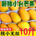 台农芒果一件代发一手货源，现货秒发，接直播社区电商