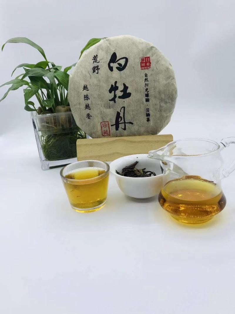 荒野-白牡丹，饼型圆润，饼香醇厚