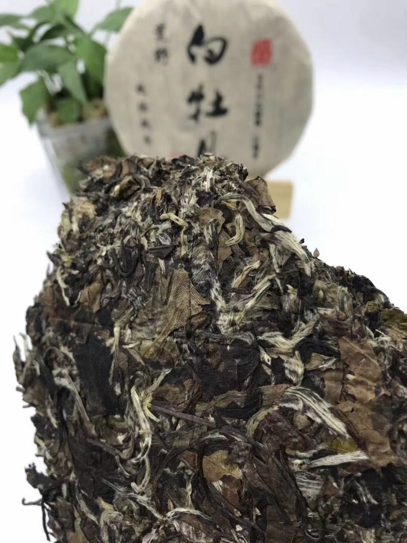 荒野-白牡丹，饼型圆润，饼香醇厚