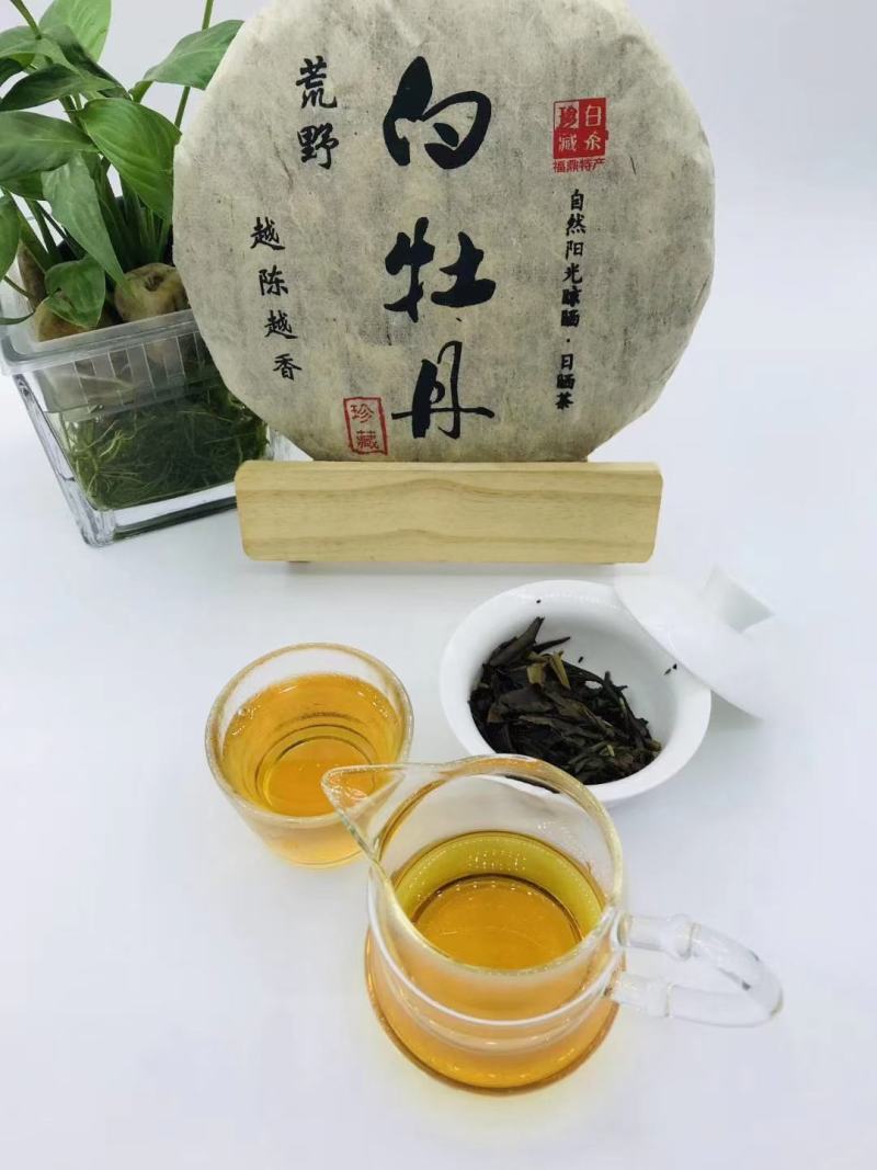 荒野-白牡丹，饼型圆润，饼香醇厚