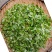 贵州高山南烛叶树乌饭叶子植物染料