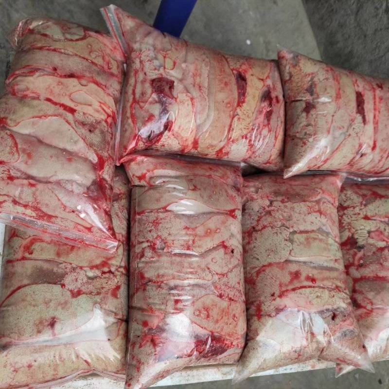 新鲜鲤鱼鱼籽鱼白黄籽白籽工厂直供批发